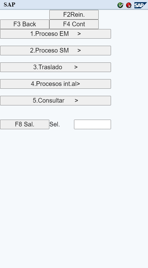 Pantalla transacción SAP its mobile LM04, Entrada orientada por sistema. No formateada.